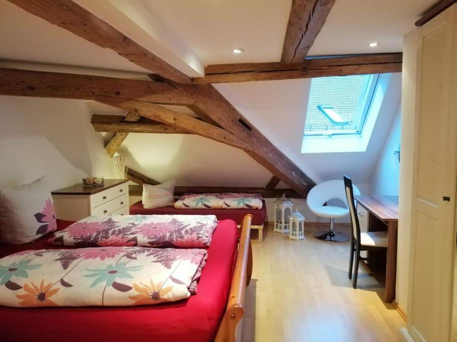 Apartment S10 In Bester Lage Stilvoll Im Zentrum Von Bayreuth Mit Klimaanlage Und Parkplatz エクステリア 写真